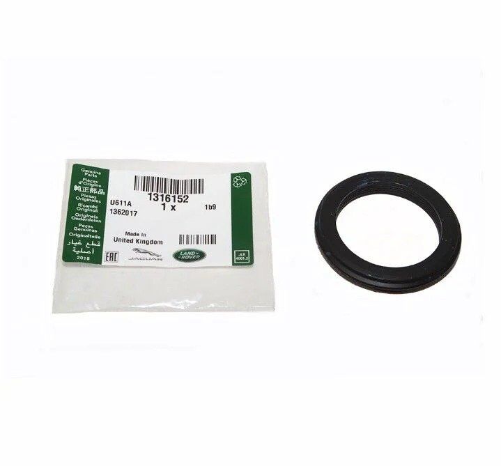 1316152 - BOĞAZ KELEBEK CONTASI