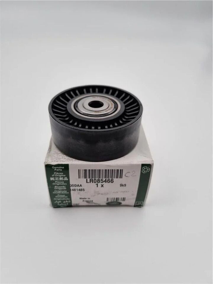 LR085466 - AVARE GERGİ