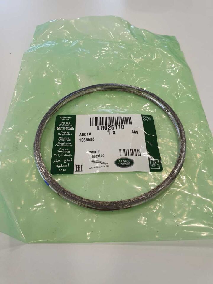 LR025110 - EGZOZ CONTASI