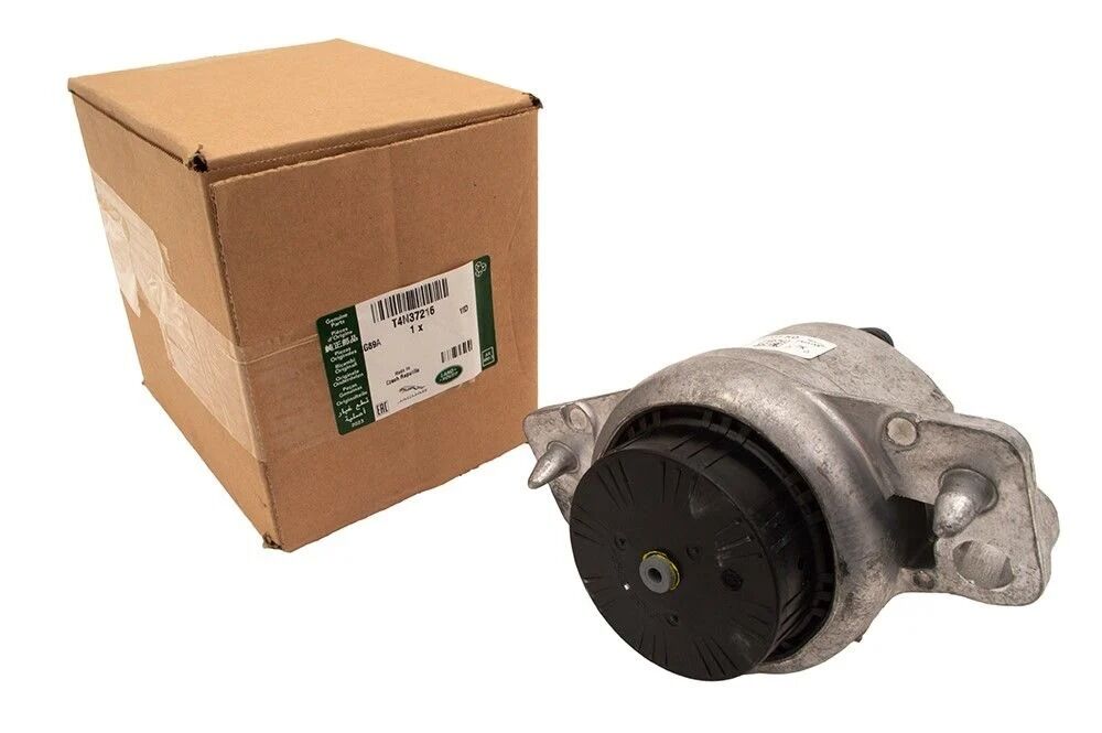 T4N37216 - MOTOR KULAĞI