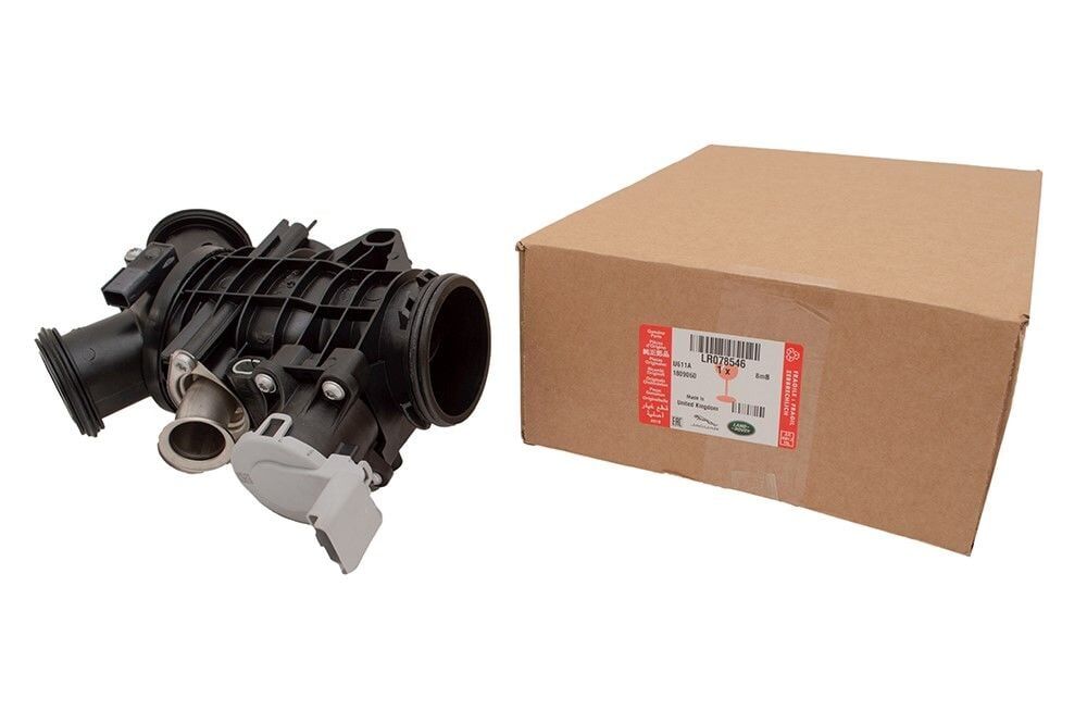 LR078546 - GAZ KELEBEĞİ